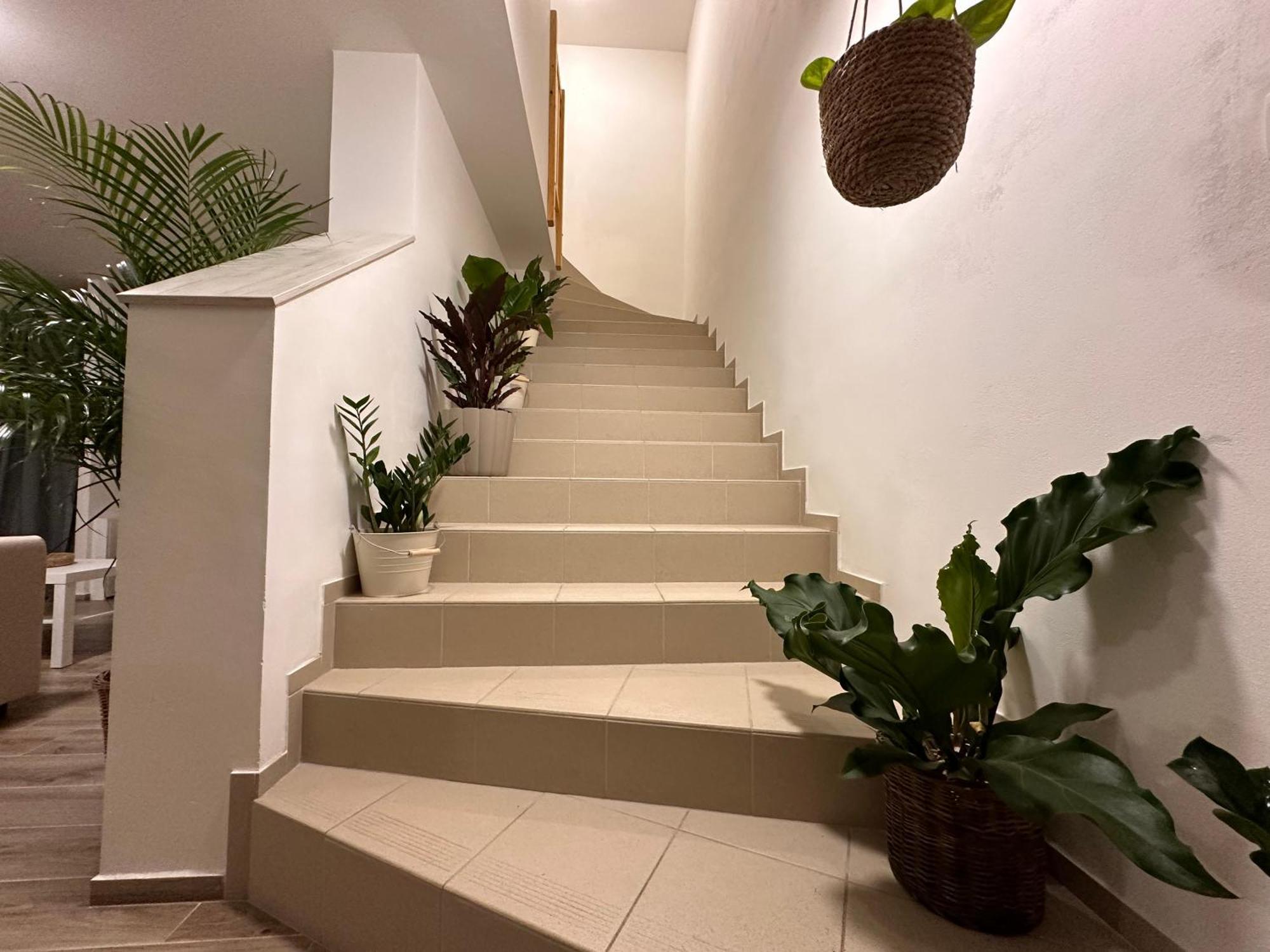 Apartmany Monastery Suites Zirec Dvur Kralove nad Labem Luaran gambar