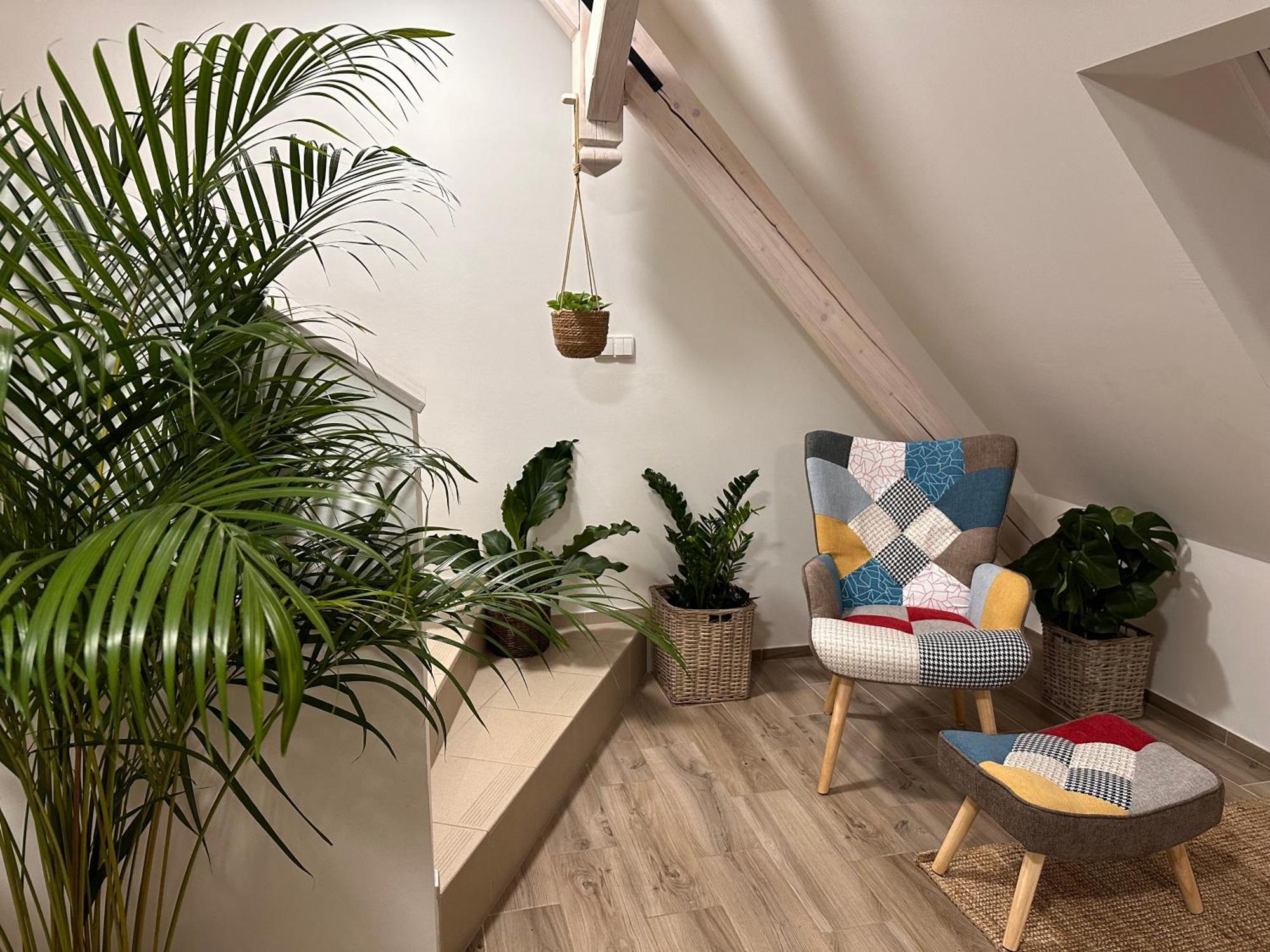 Apartmany Monastery Suites Zirec Dvur Kralove nad Labem Luaran gambar
